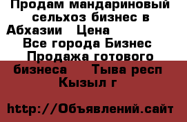 Продам мандариновый сельхоз-бизнес в Абхазии › Цена ­ 1 000 000 - Все города Бизнес » Продажа готового бизнеса   . Тыва респ.,Кызыл г.